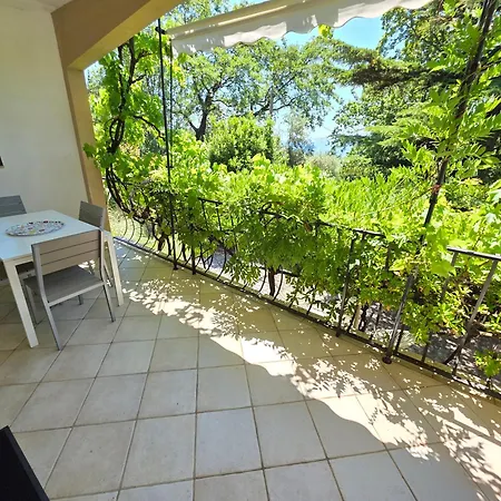Appartement J&j - 50 M From The *